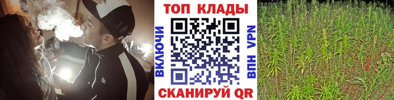 Alpha PVP Ленинск-Кузнецкий