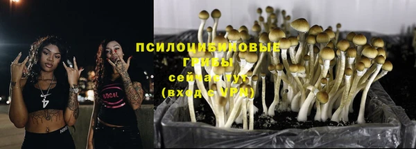 гидропоника Лабытнанги