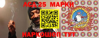 гашик Донецк