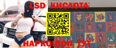 гашик Донецк