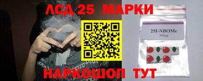 гашик Донецк