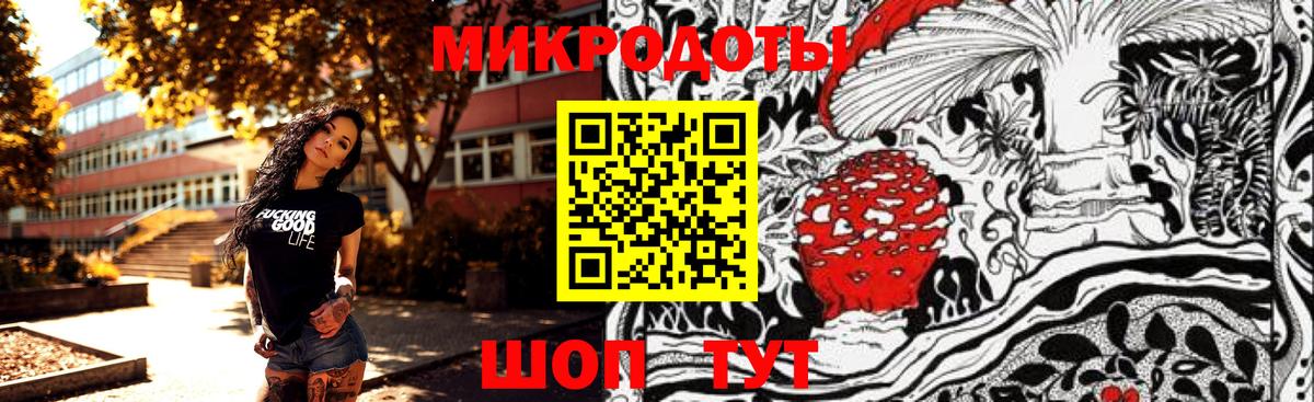 Галлюциногенные грибы Cubensis Ленинск-Кузнецкий