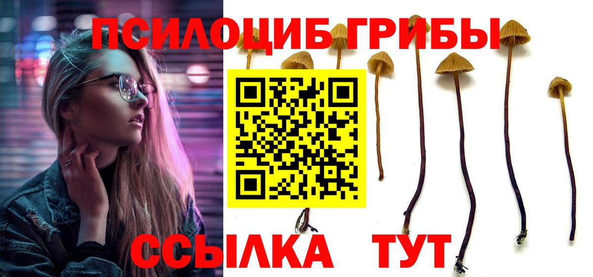 Галлюциногенные грибы ЛСД Ленинск-Кузнецкий